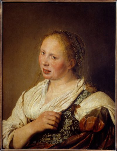 Portret młodego flamandzkiego chłopa Obraz Solomona de Bray (1597-1664) autorstwa Salomon de Bray