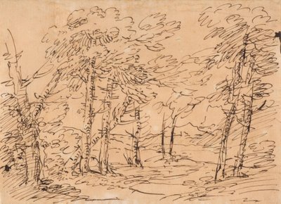 Pejzaż z drzewami i górami w tle autorstwa Salvator Rosa