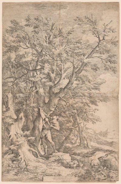 Ratunek Dzieciątka Edypa autorstwa Salvator Rosa