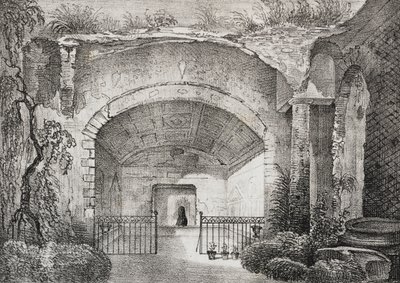 polonês autorstwa Salvatore Puglia
