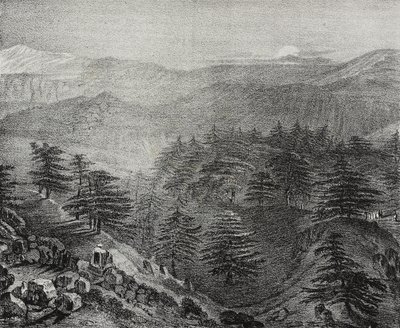Widok na górę Liban ze słynnymi cedrami, Liban, litografia Salvatore Puglia z Poliorama Pittoresco, nr 10, 15 października autorstwa Salvatore Puglia