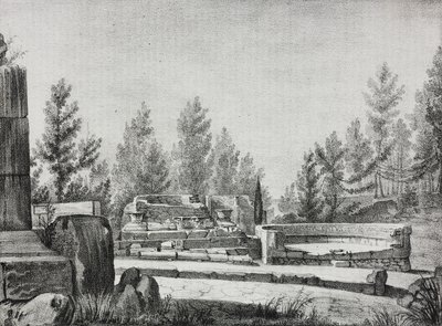 Vista das ruínas de Pompéia, Campânia, Itália, litografia de Salvatore Puglia de Poliorama Pittoresco, n 7, 25 de setembro polonês autorstwa Salvatore Puglia