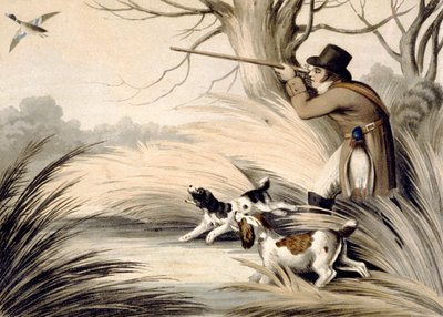 Strzelająca kaczka, ryt H. Merke, ok. 1809 (kolor lito) autorstwa Samuel (after) Howitt