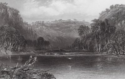 Australia: Nad rzeką Cow Pasture (rycina) autorstwa Samuel (after) Prout