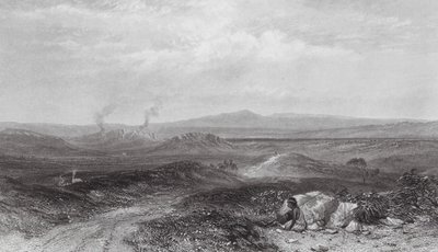 Australia: Widok w pobliżu Botany Bay (grawerunek) autorstwa Samuel (after) Prout