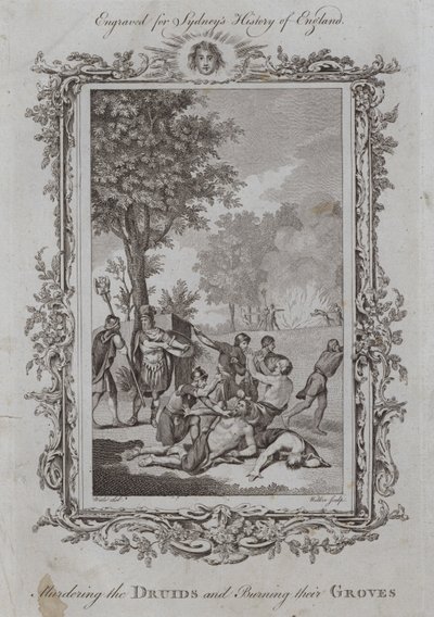 Zamordowanie druidów i spalenie ich gajów (rycina) autorstwa Samuel (after) Wale