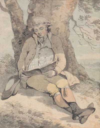 P. Wilkinson Esq. Siedząc w cieniu dębu, ucząc się gwizdać autorstwa Samuel Alken