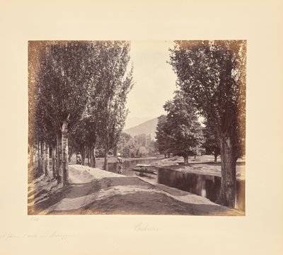  autorstwa Samuel Bourne