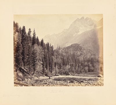  autorstwa Samuel Bourne