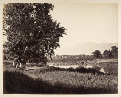 Beej Bihara był Jhelum autorstwa Samuel Bourne