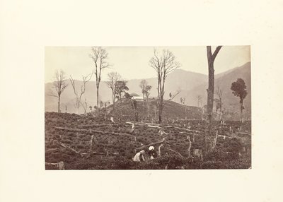  autorstwa Samuel Bourne