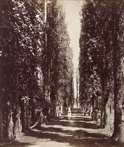  autorstwa Samuel Bourne