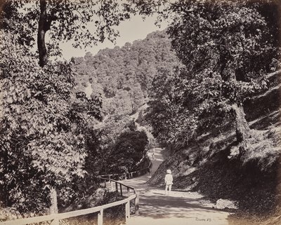  autorstwa Samuel Bourne