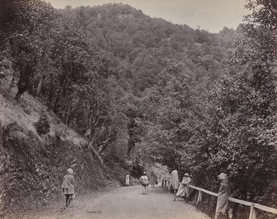 Shimla. Mall, czyli główna ulica autorstwa Samuel Bourne