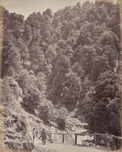  autorstwa Samuel Bourne