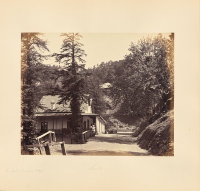Simla; The Mall, Combermere Ridge autorstwa Samuel Bourne