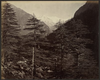 Ośnieżone szczyty w pobliżu Gangotri, z Bhairamghati autorstwa Samuel Bourne