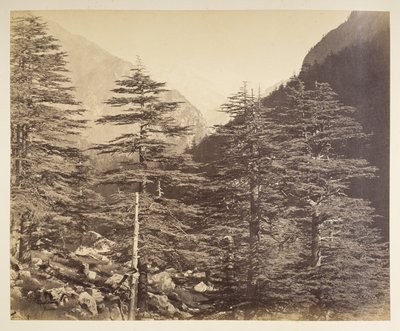 Ośnieżone szczyty w pobliżu Gangootri z Bhairamghati. Fotograf: Bourne, Samuel Album fotografii Indii, głównie Samuela Bourne