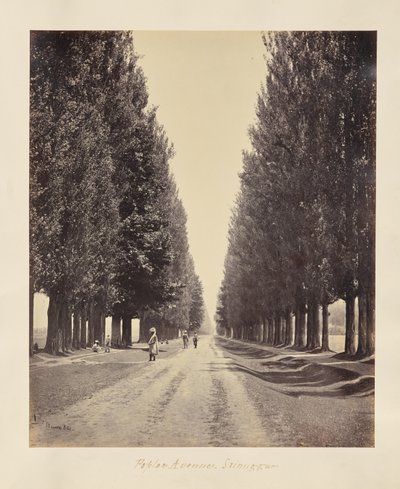  autorstwa Samuel Bourne