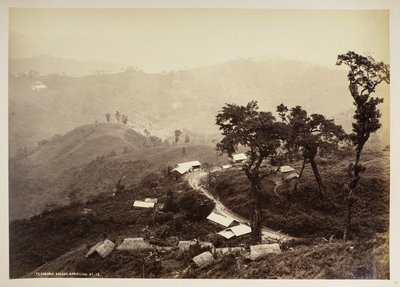 Bazar Teendari, Darjeeling,  z „Widoków Darjeeling”,  1860 - 1880    (zdjęcie czarno-białe) autorstwa Samuel Bourne