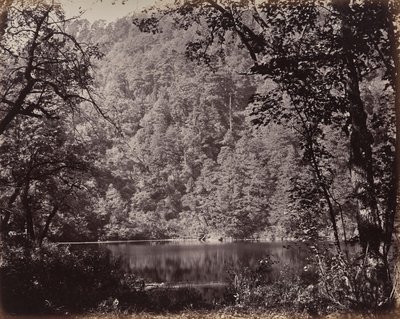  autorstwa Samuel Bourne
