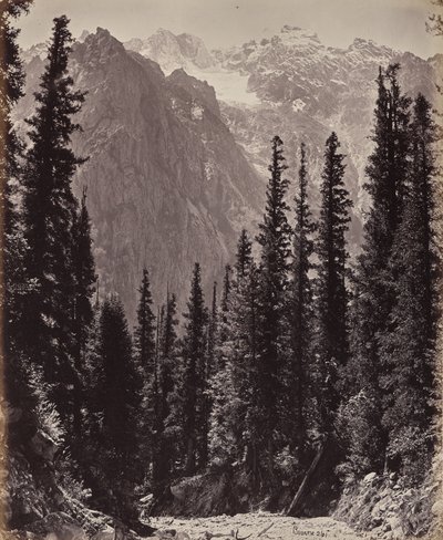  autorstwa Samuel Bourne