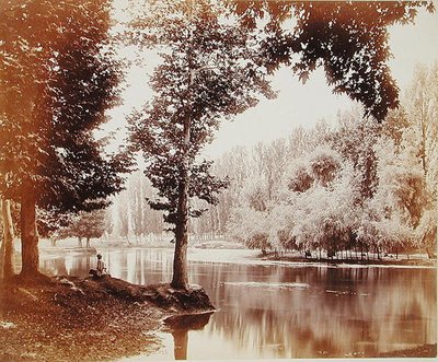 Widok na kanał Dhul, Kaszmir, ok. 1865 (zdjęcie w sepii) autorstwa Samuel Bourne
