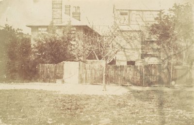 Drzewo na podwórku, lata 50. XIX wieku. autorstwa Samuel Buckle