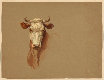 Rysunek, Dwa studia.  Bydło, 1876 autorstwa Samuel Colman