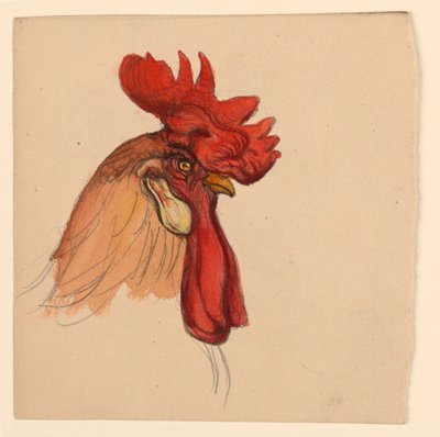 Głowa Koguta autorstwa Samuel Colman