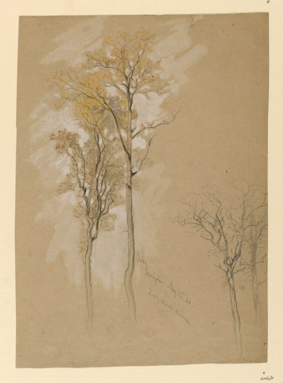 Oaks, Lady Wood Lane, Irvington autorstwa Samuel Colman
