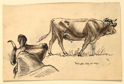 Szkice bydła, Irvington autorstwa Samuel Colman
