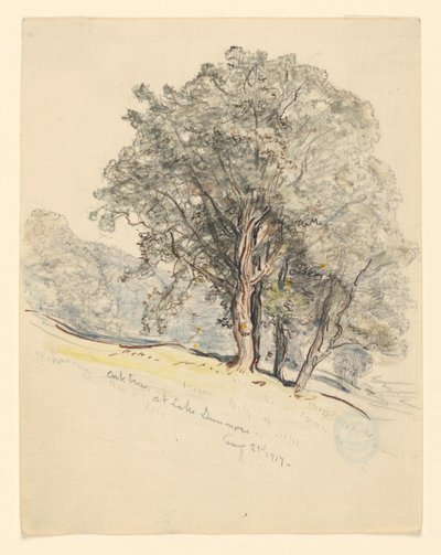 Badanie dębów nad jeziorem Dunmore, Vermont autorstwa Samuel Colman