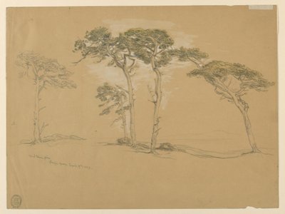 Wiatrowe sosny, Pacific Grove. Verso: droga z wybrzeża Pacyfiku do Point Sur. autorstwa Samuel Colman