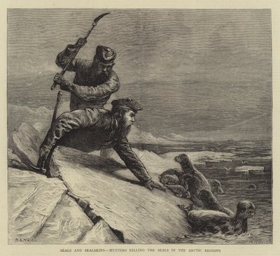 Foki i focze skóry, myśliwi zabijający foki w regionach arktycznych autorstwa Samuel Edmund Waller