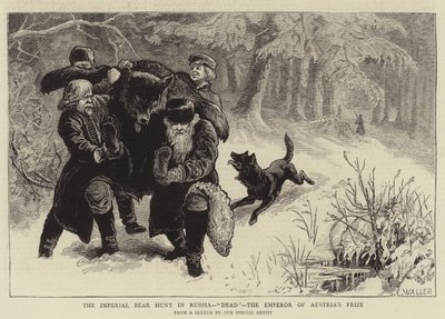 Imperialne polowanie na niedźwiedzie w Rosji, martwy, nagroda cesarza Austrii autorstwa Samuel Edmund Waller
