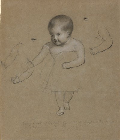 Charlotte Gebhardt Morse autorstwa Samuel Finley Breese Morse