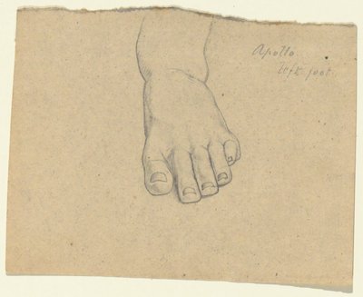Studium do wyroku Jowisza (Apollo, lewa stopa) autorstwa Samuel Finley Breese Morse
