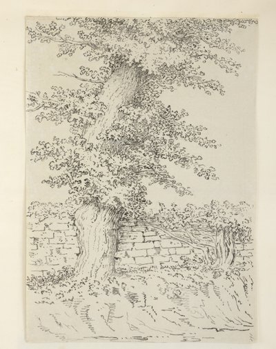 Dodać. MS 15546 Am Wiąz w Bedminster autorstwa Samuel Hieronymous Grimm