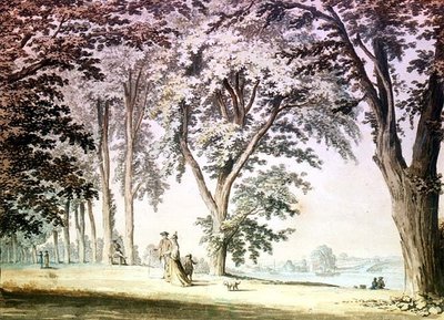 Drzewa nad Tamizą naprzeciwko Hammersmith autorstwa Samuel Hieronymous Grimm