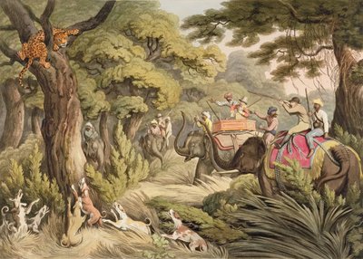 Shooting A Leopard, z Oriental Field Sports, wyd. Edwarda Orme, 1807 (druk) autorstwa Samuel Howett