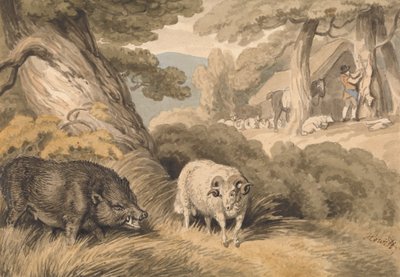 Dzik i baran autorstwa Samuel Howitt