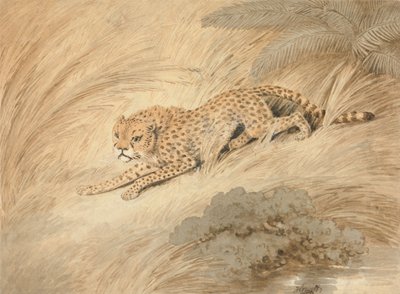  autorstwa Samuel Howitt