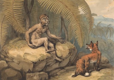 Małpa i lis autorstwa Samuel Howitt