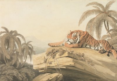  autorstwa Samuel Howitt