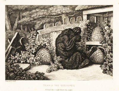 Niedźwiedź brunatny zaatakowany przez armię pszczół. 1811 (akwaforta) autorstwa Samuel Howitt