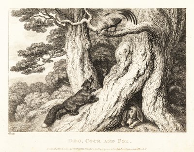 Kogut na drzewie przechytrza lisa, a pies śpi. 1811 (akwaforta) autorstwa Samuel Howitt