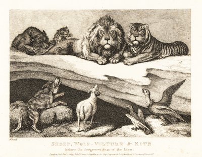 Sprawa sądowa między zwierzętami, z lwem i tygrysem jako sędziami. 1811 (akwaforta) autorstwa Samuel Howitt