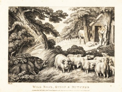 Stado owiec czeka na rzeź u rzeźnika. 1811 (akwaforta) autorstwa Samuel Howitt