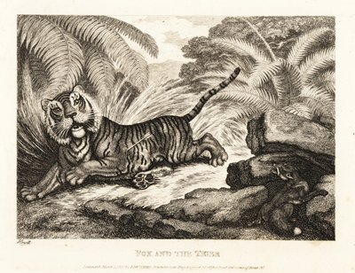 Lis obserwuje rannego tygrysa. 1811 (akwaforta) autorstwa Samuel Howitt